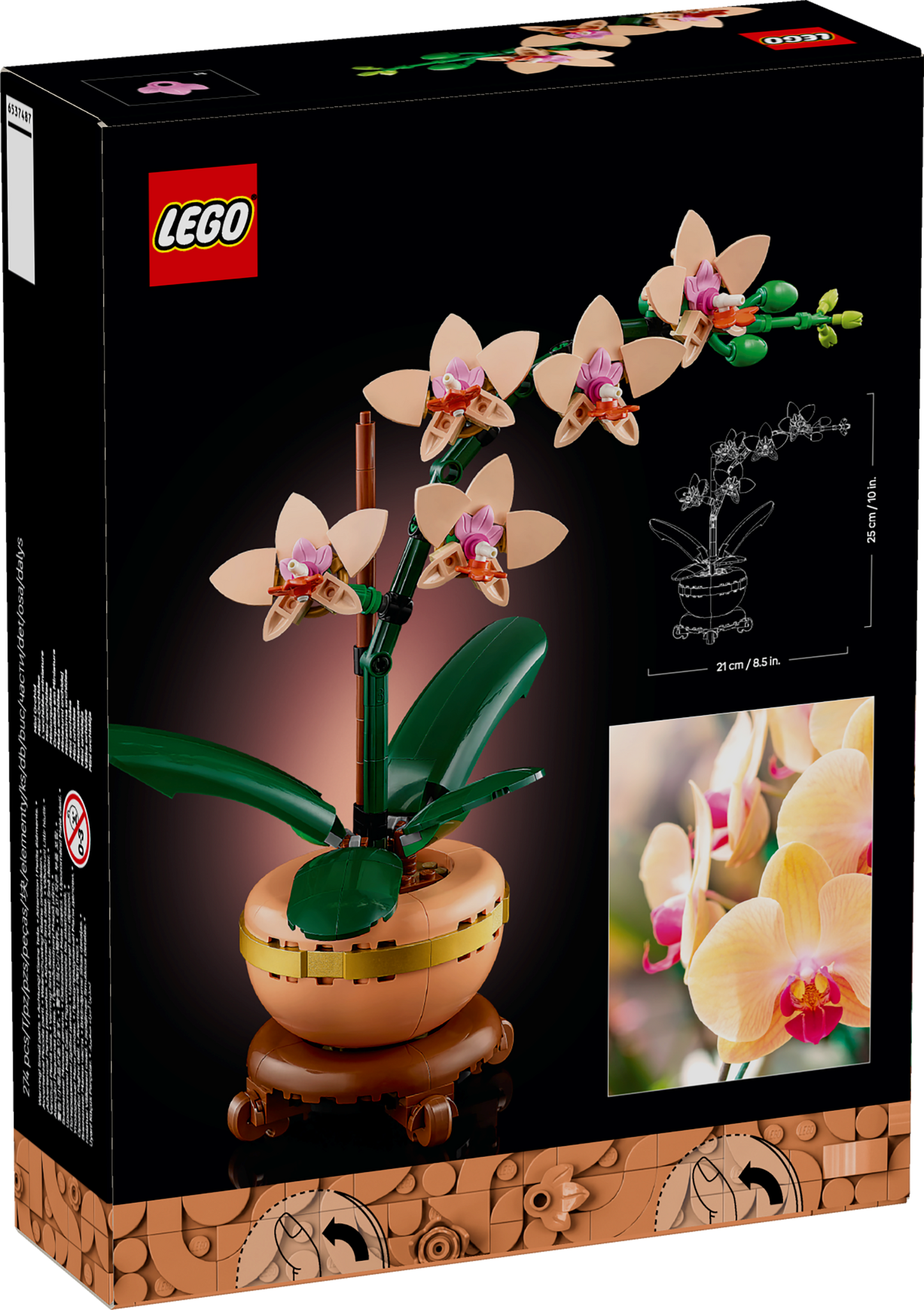 LEGO Mini Orchid 10343 Botanicals back of box image