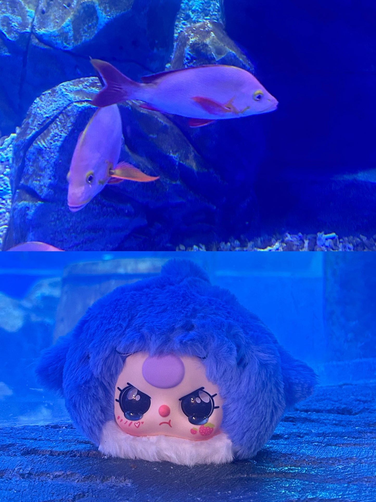 BabyThree | Romantic Ocean (1 Mystery Model)