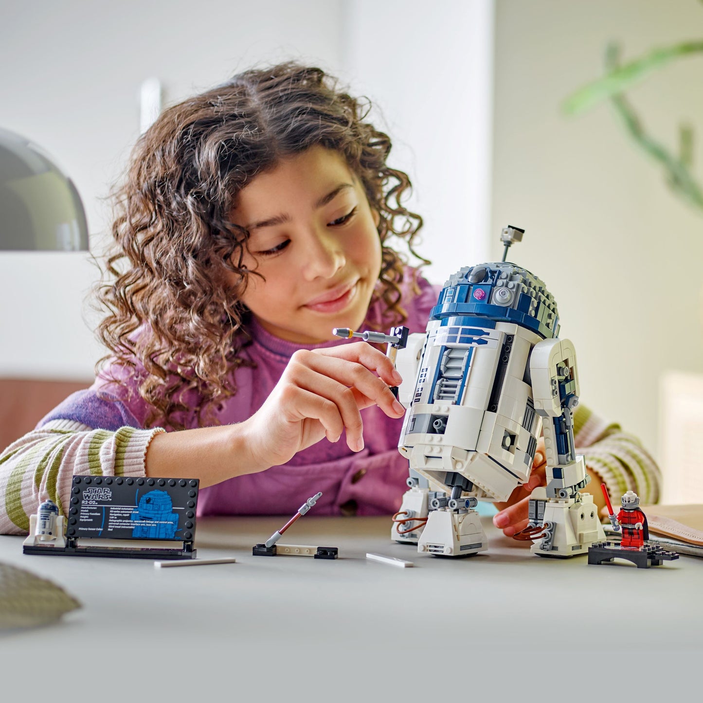 LEGO Star Wars 25 Years: R2-D2 (75379)
