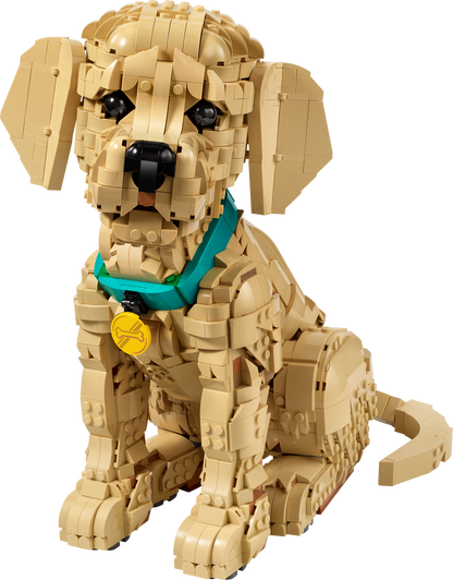 LEGO ICONS: Golden Retriever Puppy (11384)