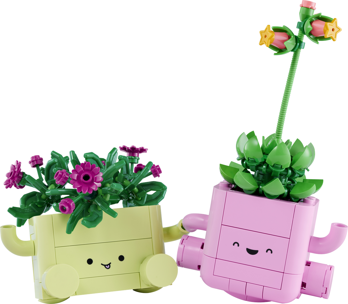 LEGO Botanicals Rocking Plants Artificial Flowers Set (11506)
