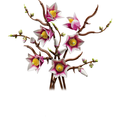 LEGO Botanicals: Magnolia Branches (11510)
