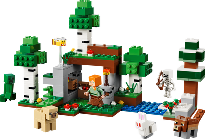 LEGO Minecraft: First Night Adventure (21593)