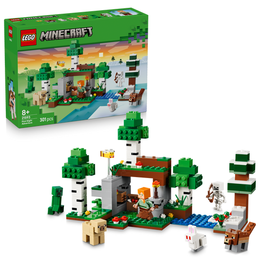 LEGO Minecraft: First Night Adventure (21593)