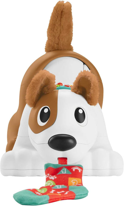 Fisher-Price 123 Crawl With Me Puppy, Electronic Dog Infant Crawling Toy (HHH14)