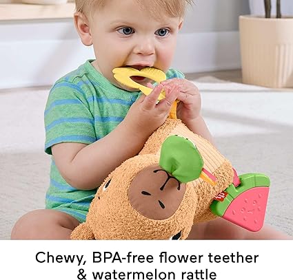 Fisher-Price Baby Sensory Toy Snuggly Snacky Capybara Plush