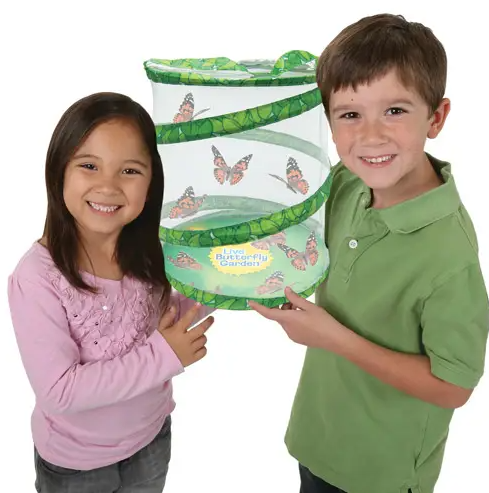 Butterfly Garden