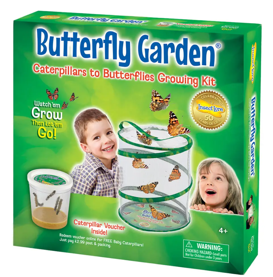 Butterfly Garden