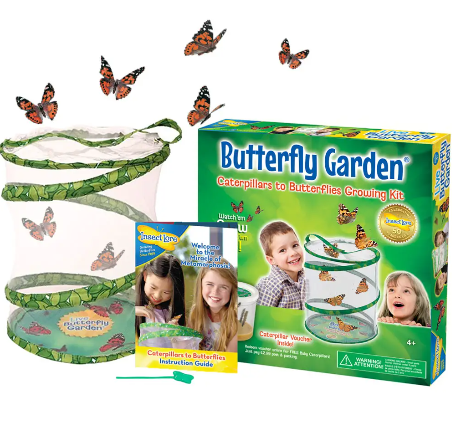 Butterfly Garden